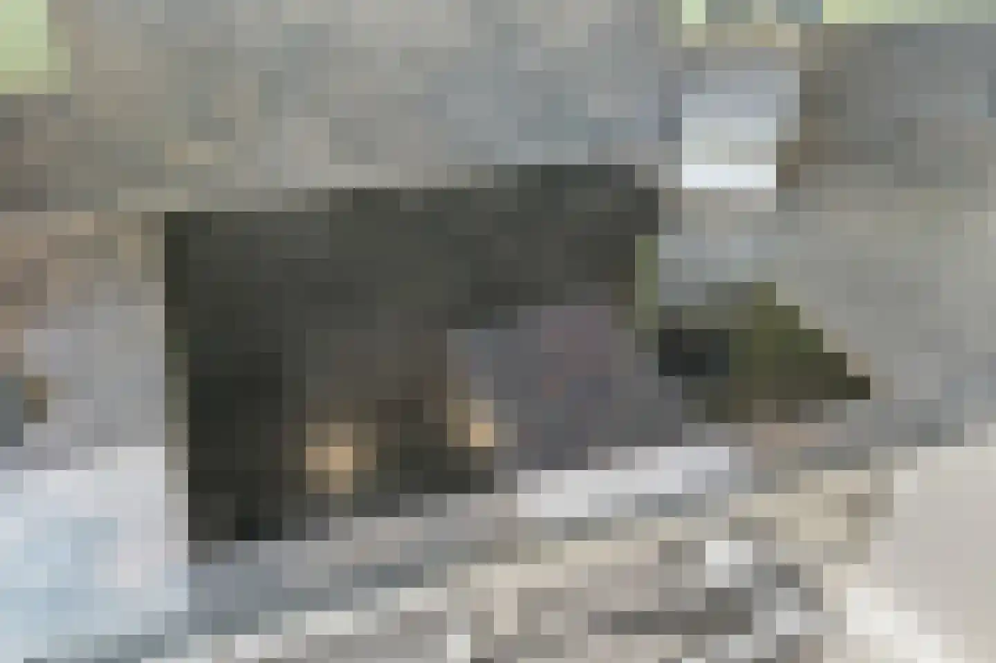 van der Palmstraat 55 Voorburg thumbnail 24