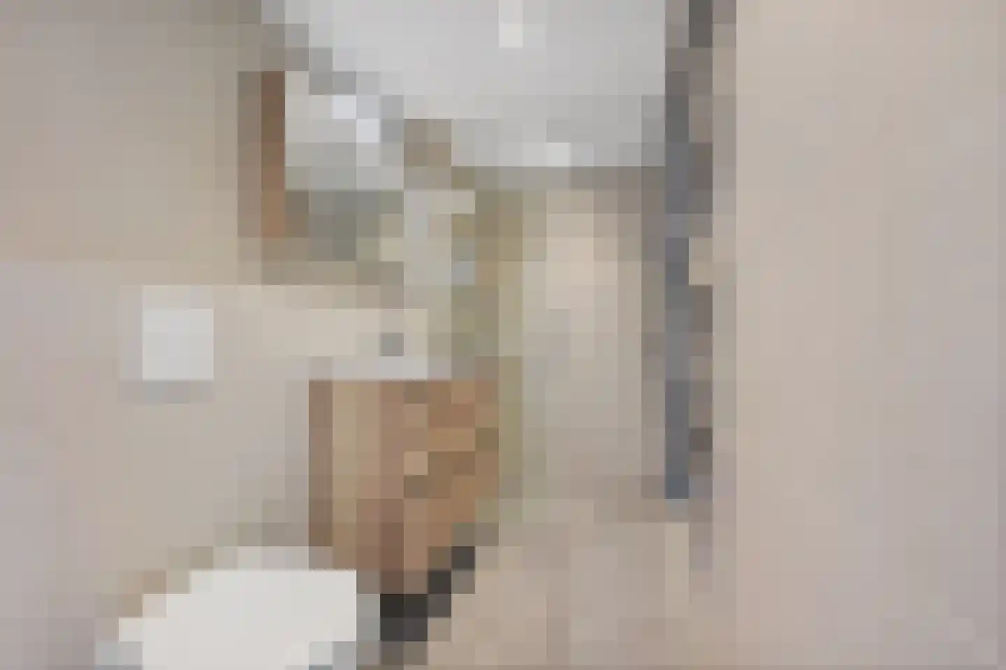 van der Palmstraat 55 Voorburg thumbnail 33
