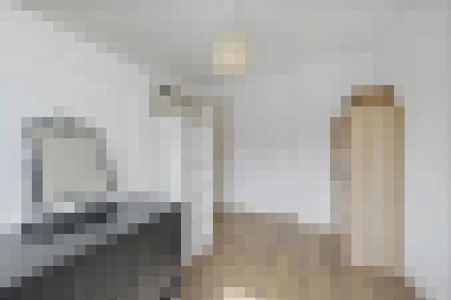 van der Palmstraat 55 Voorburg thumbnail 36
