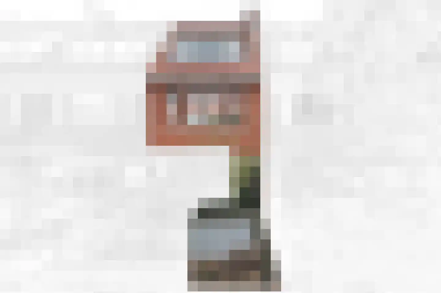 van der Palmstraat 55 Voorburg thumbnail 6