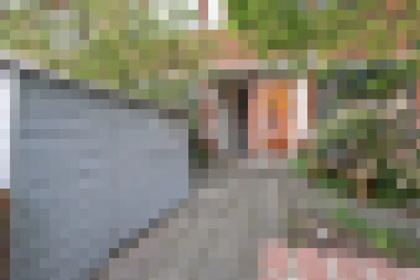 van der Palmstraat 55 Voorburg thumbnail 9