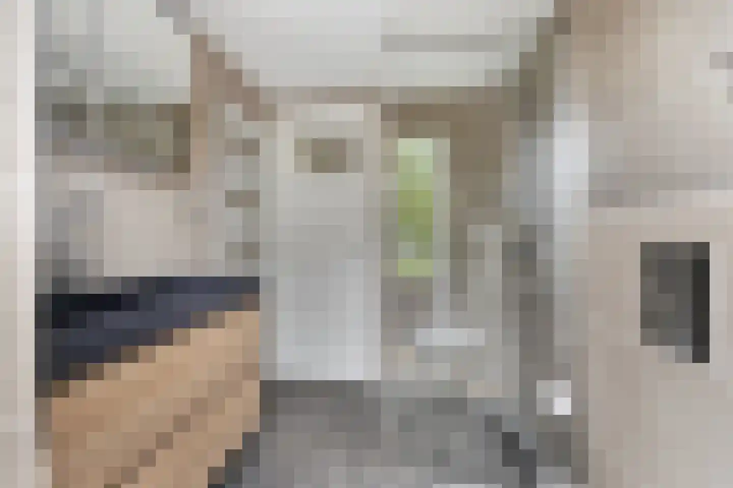 van der Palmstraat 75 Gouda thumbnail 36
