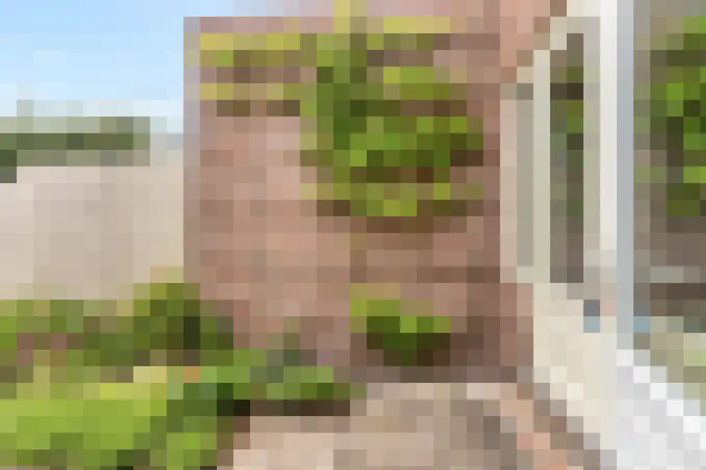 van der Palmstraat 75 Gouda thumbnail 42
