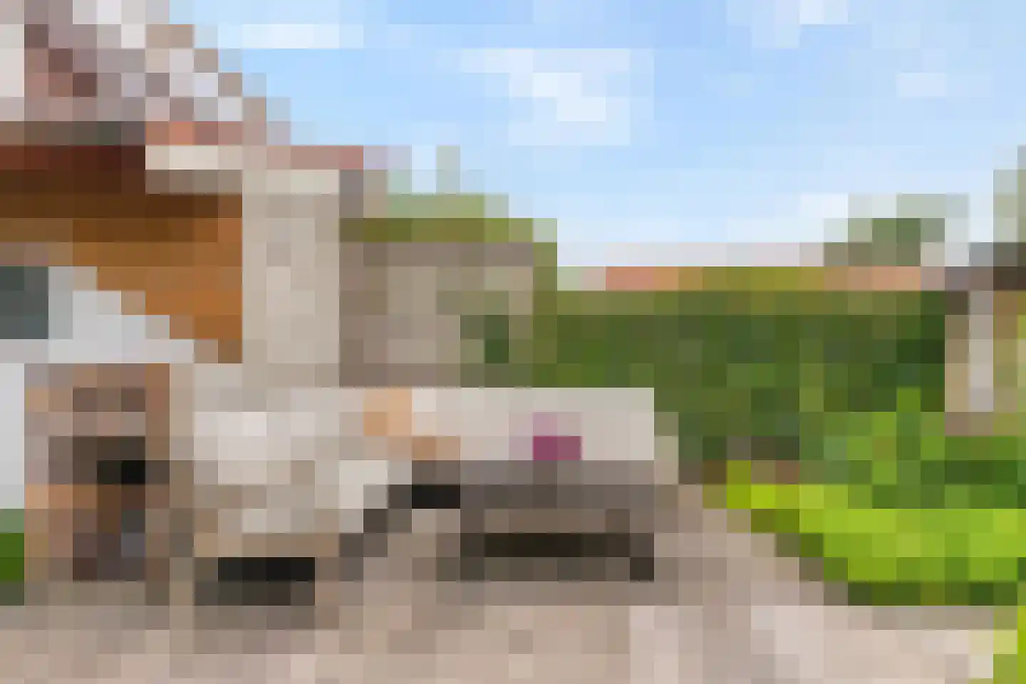 van der Palmstraat 75 Gouda thumbnail 46