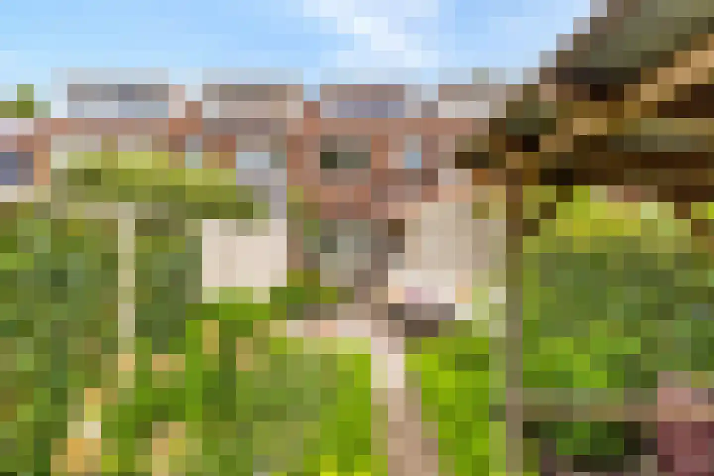 van der Palmstraat 75 Gouda thumbnail 47