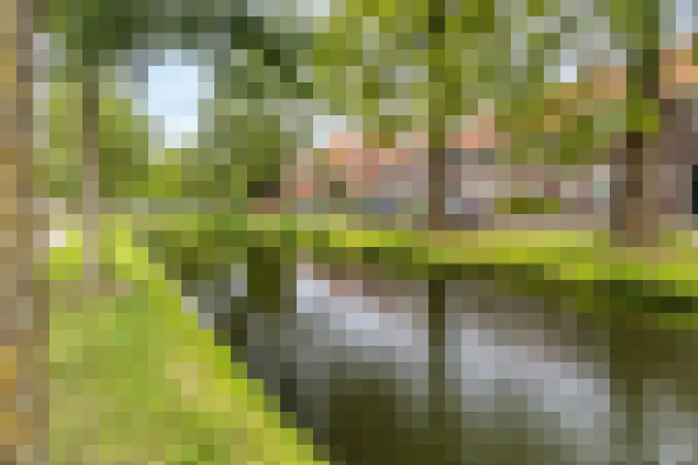 van der Palmstraat 75 Gouda thumbnail 5