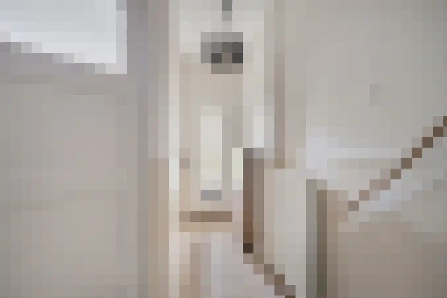 van der Palmstraat 75 Gouda thumbnail 9