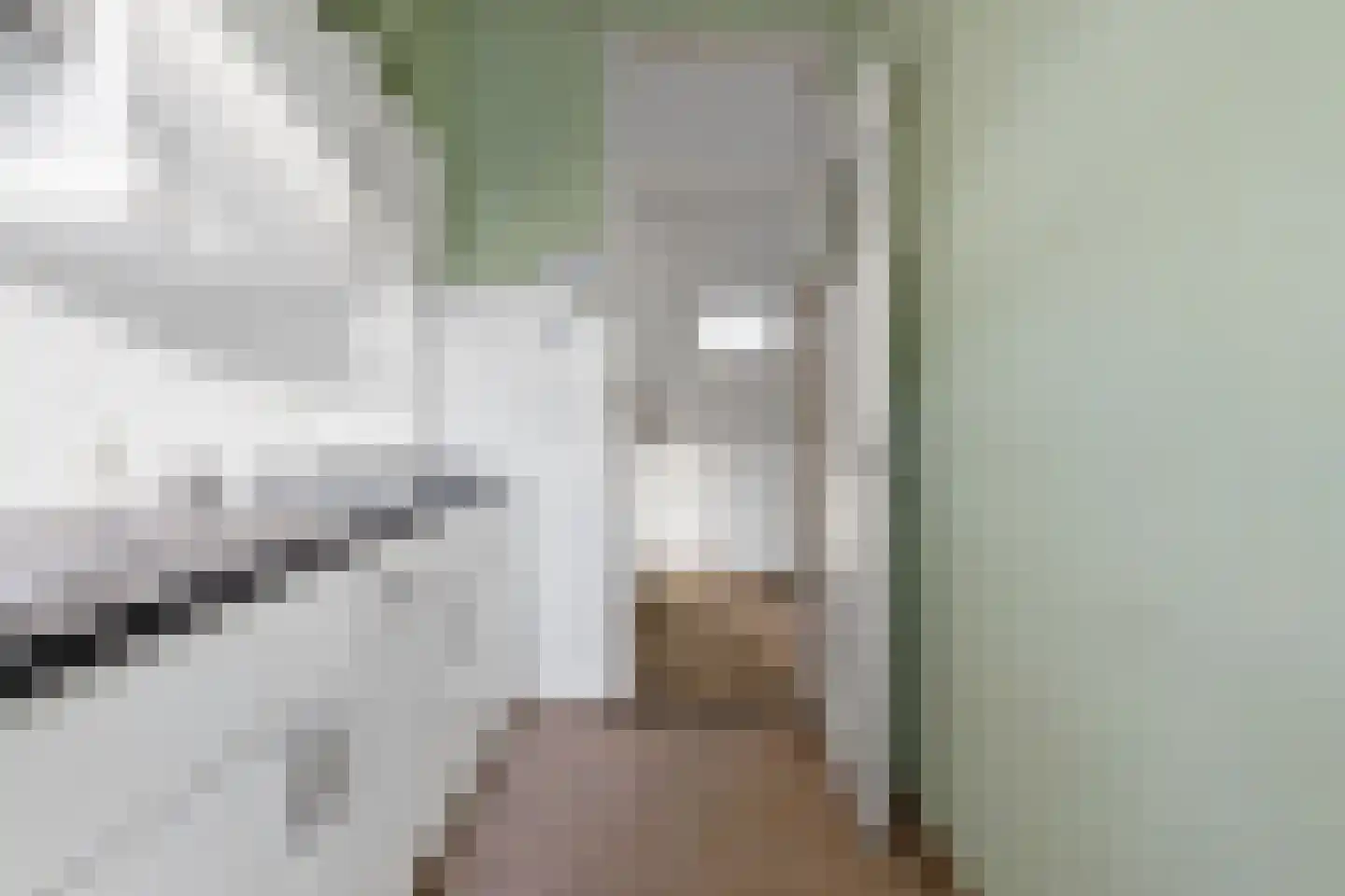 van der Palmstraat 85 Voorburg thumbnail 16