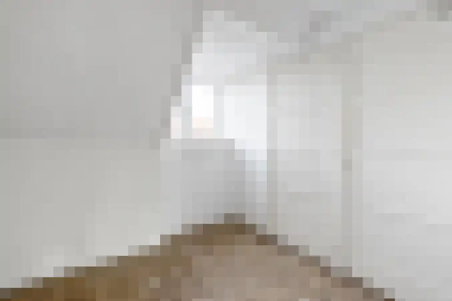 van der Palmstraat 85 Voorburg thumbnail 29
