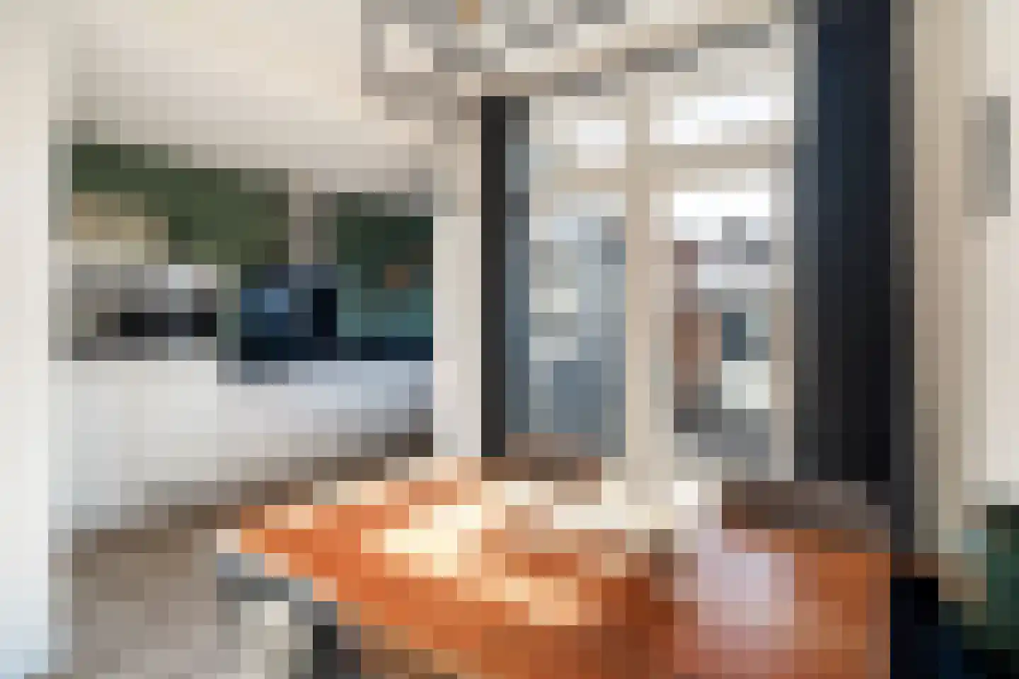 van der Palmstraat 9 Gouda thumbnail 11