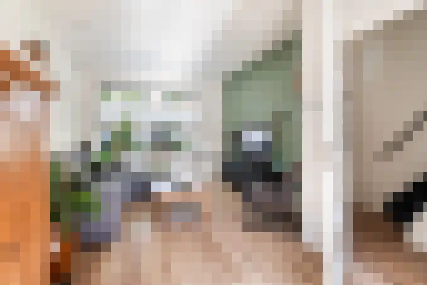 van der Palmstraat 9 Gouda thumbnail 6