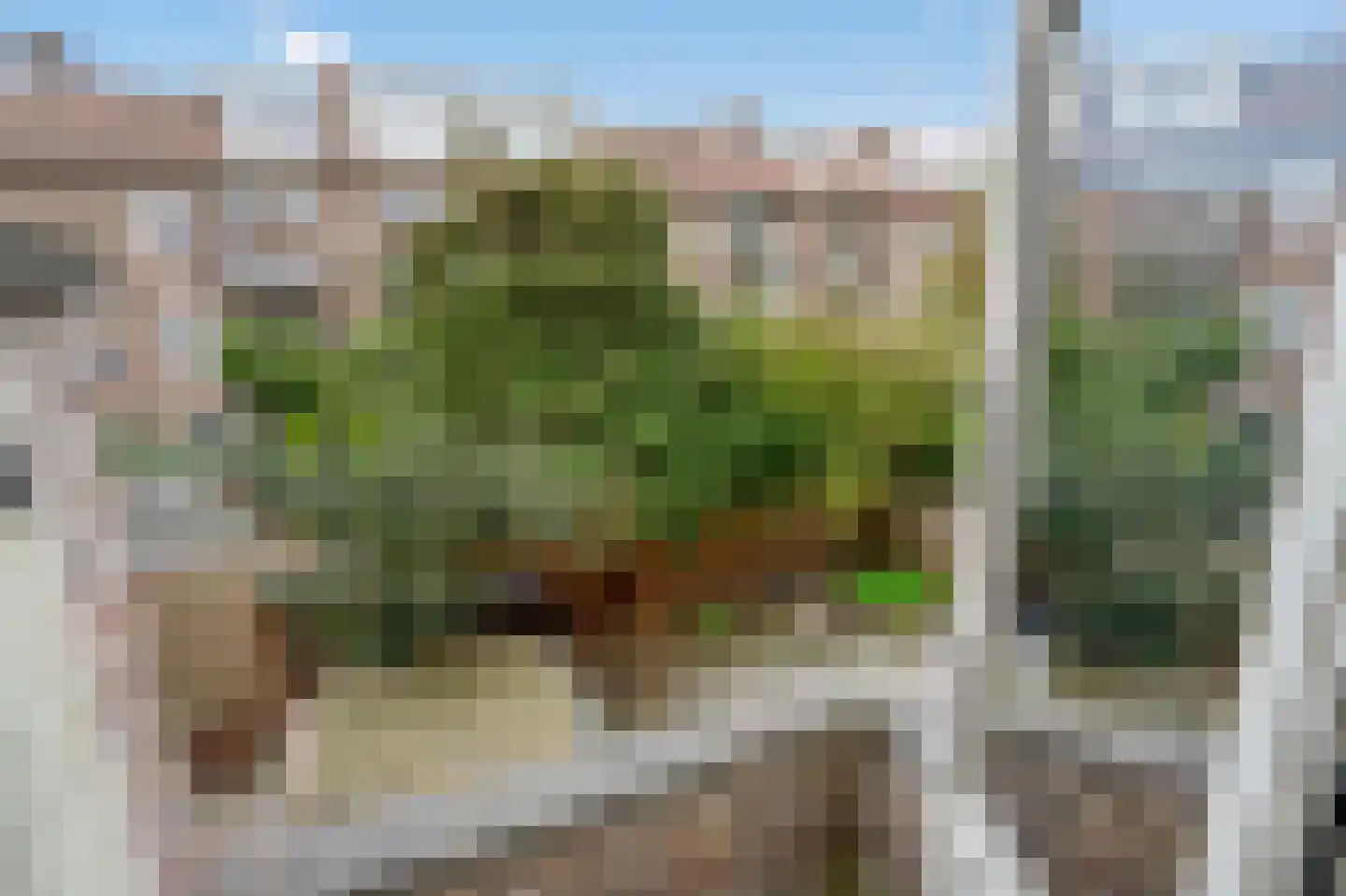 van der Palmstraat 9 Voorburg thumbnail 17