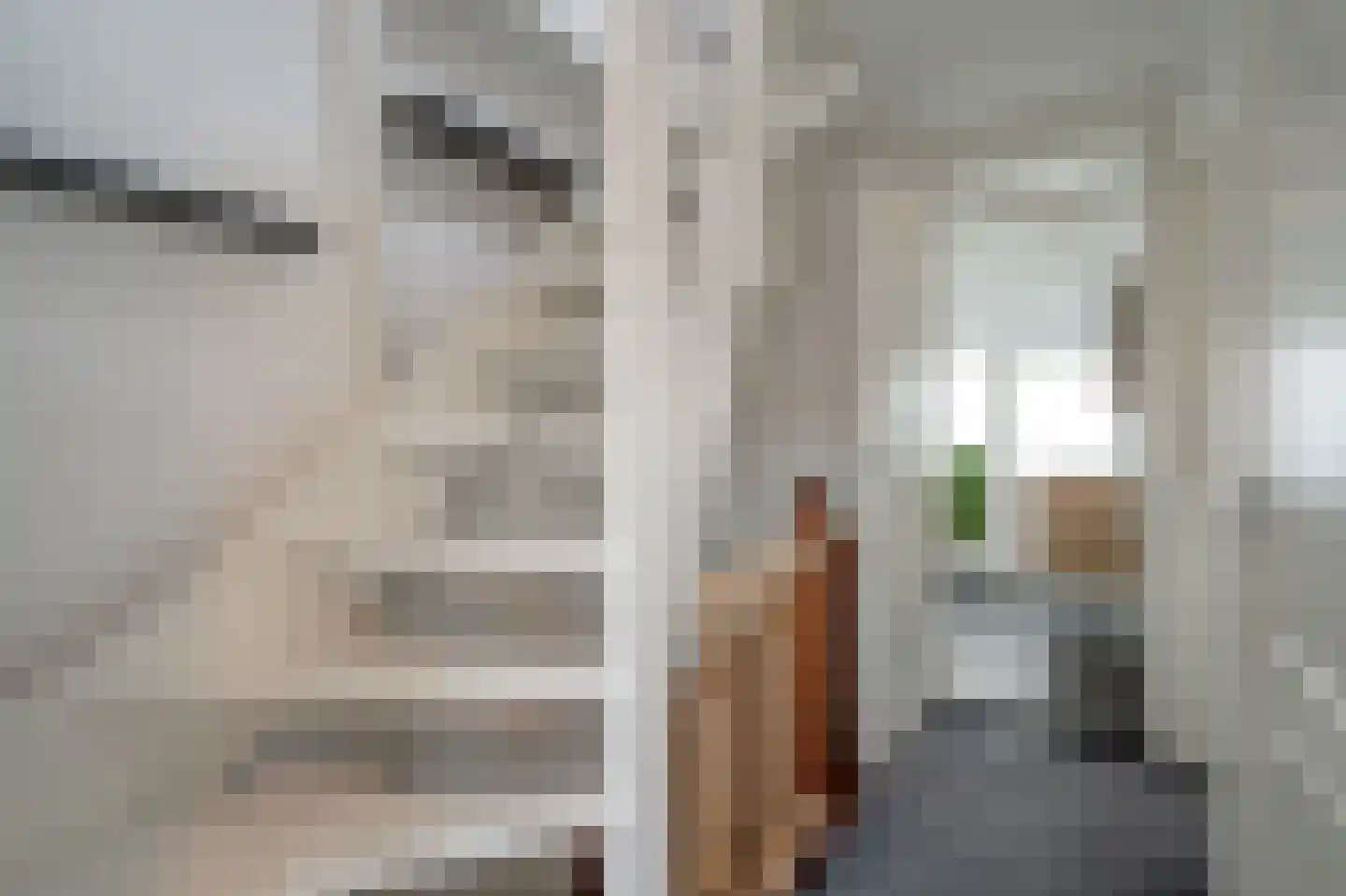 van der Palmstraat 9 Voorburg thumbnail 18