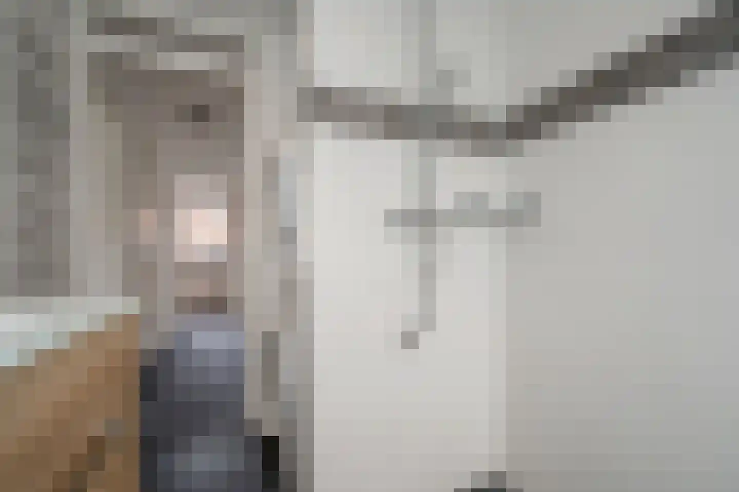 van der Palmstraat 9 Voorburg thumbnail 23
