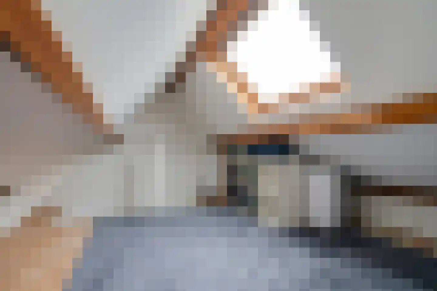van der Palmstraat 9 Voorburg thumbnail 32