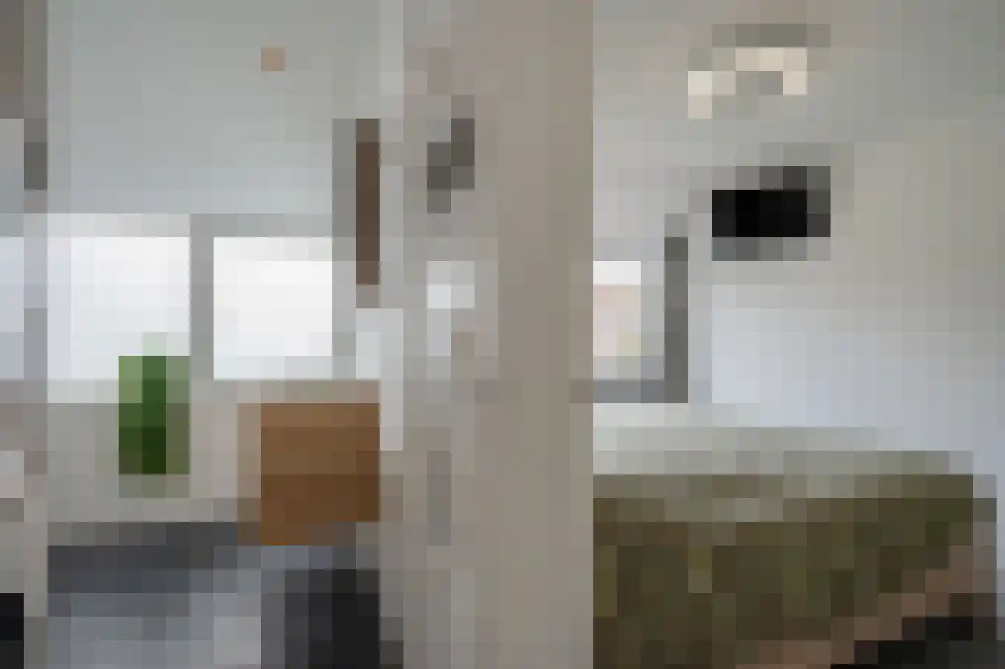 van der Palmstraat 9 Voorburg thumbnail 5