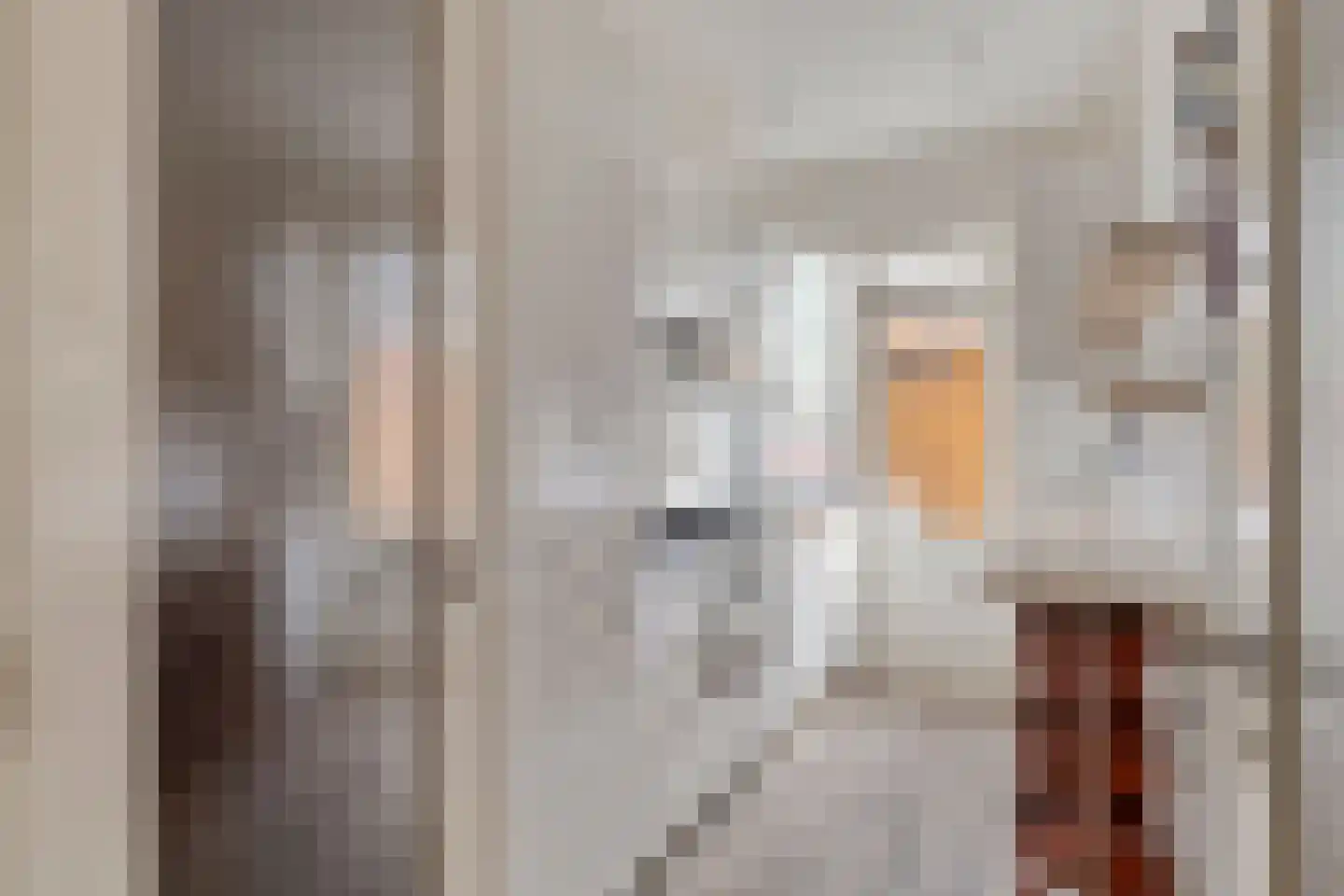 van der Palmstraat 94 Voorburg thumbnail 12