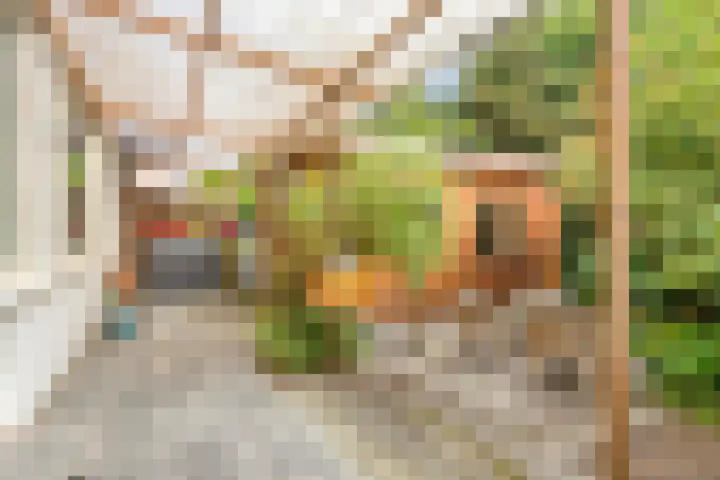 van der Palmstraat 94 Voorburg thumbnail 20