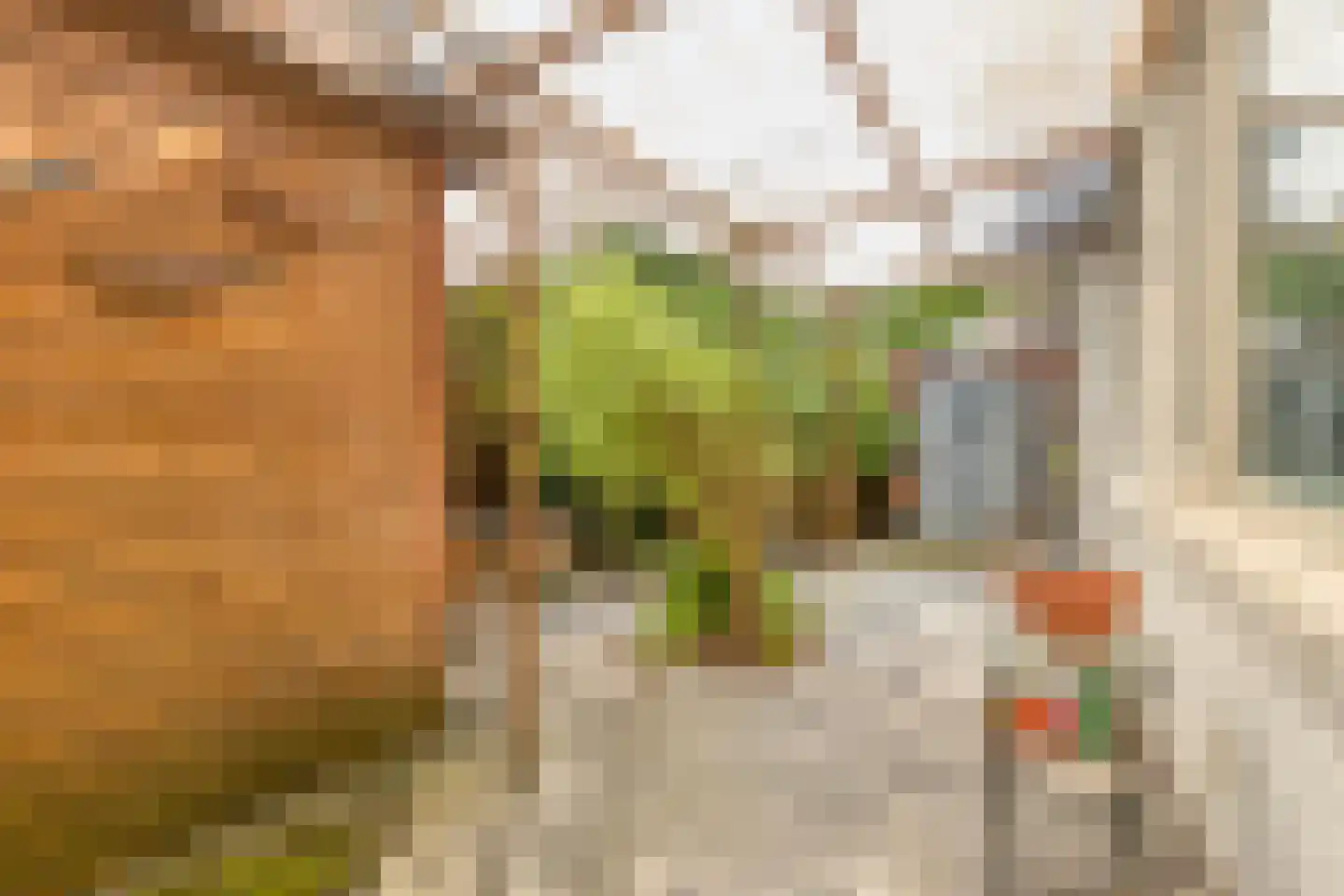 van der Palmstraat 94 Voorburg thumbnail 21