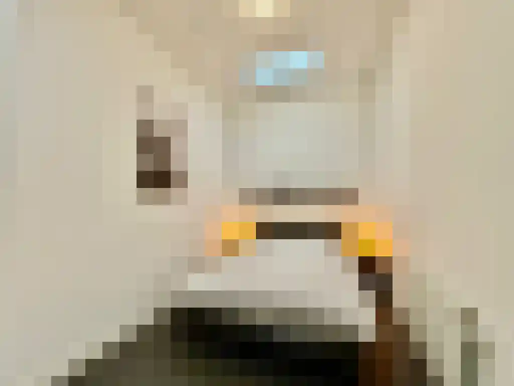 Van der Palmstraat 96 Rotterdam thumbnail 6