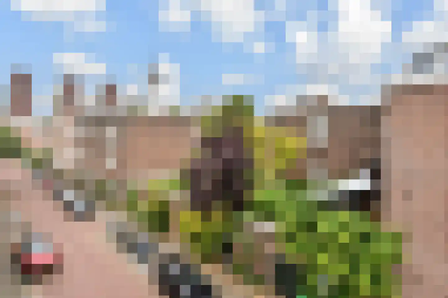 Van der Parrastraat 13 A Den Haag thumbnail 32