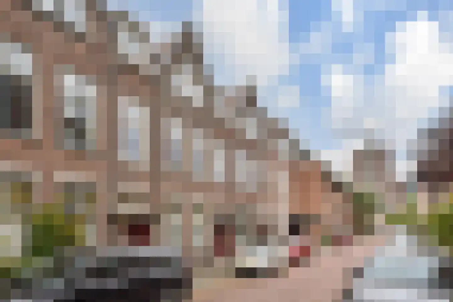 Van der Parrastraat 13 A Den Haag thumbnail 34