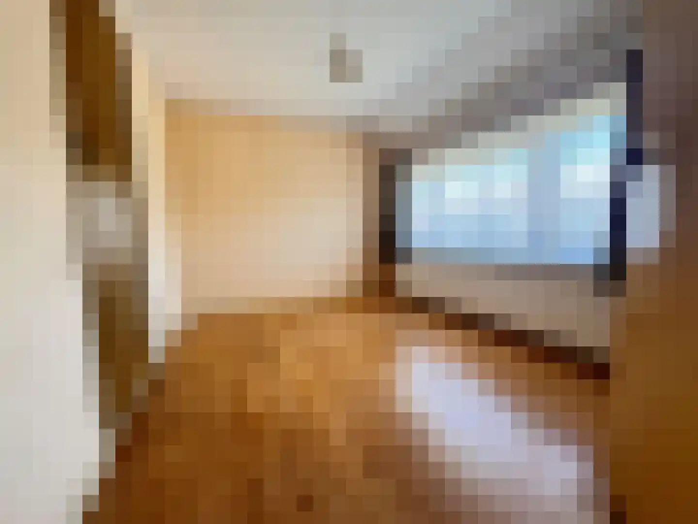 van der Peijlstraat 8 Terneuzen thumbnail 10