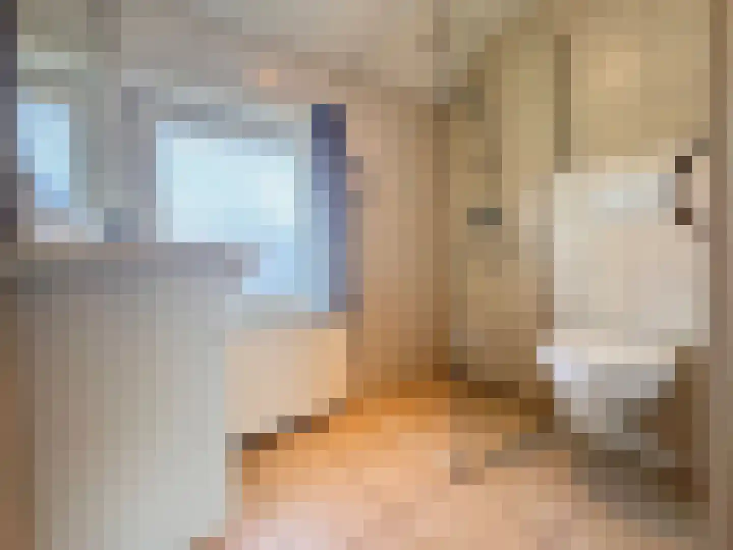van der Peijlstraat 8 Terneuzen thumbnail 13
