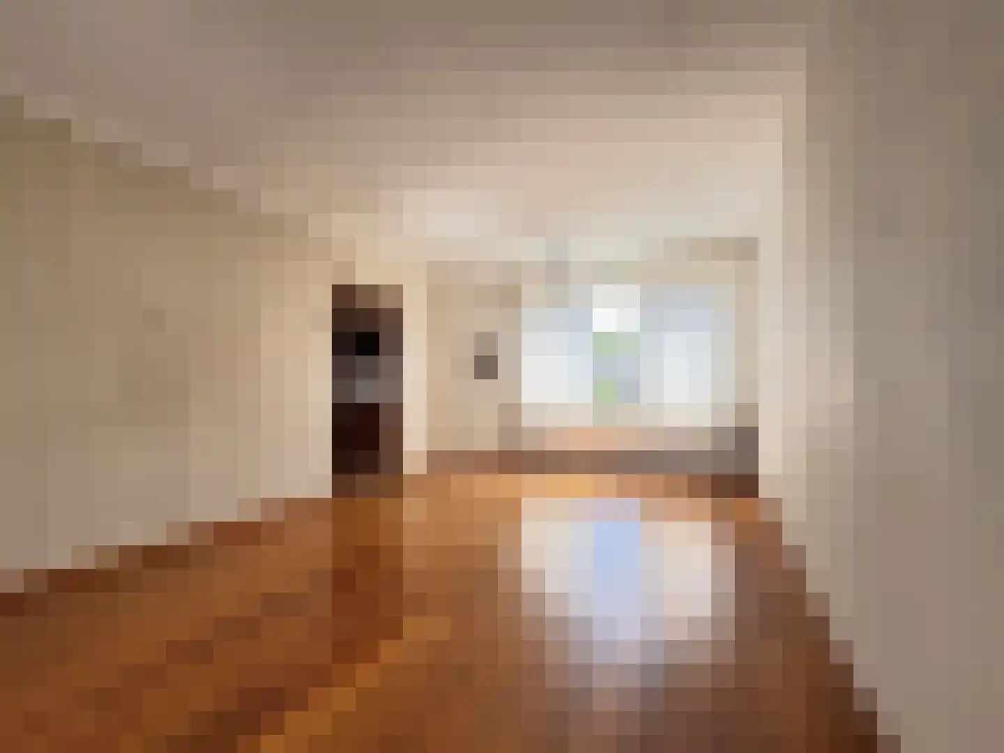 van der Peijlstraat 8 Terneuzen thumbnail 5