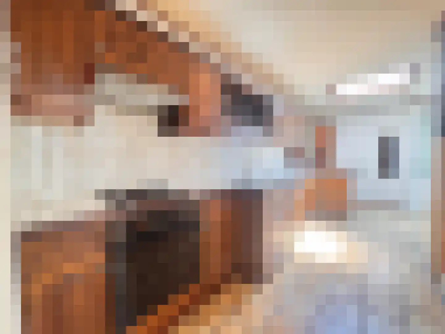 van der Peijlstraat 8 Terneuzen thumbnail 6