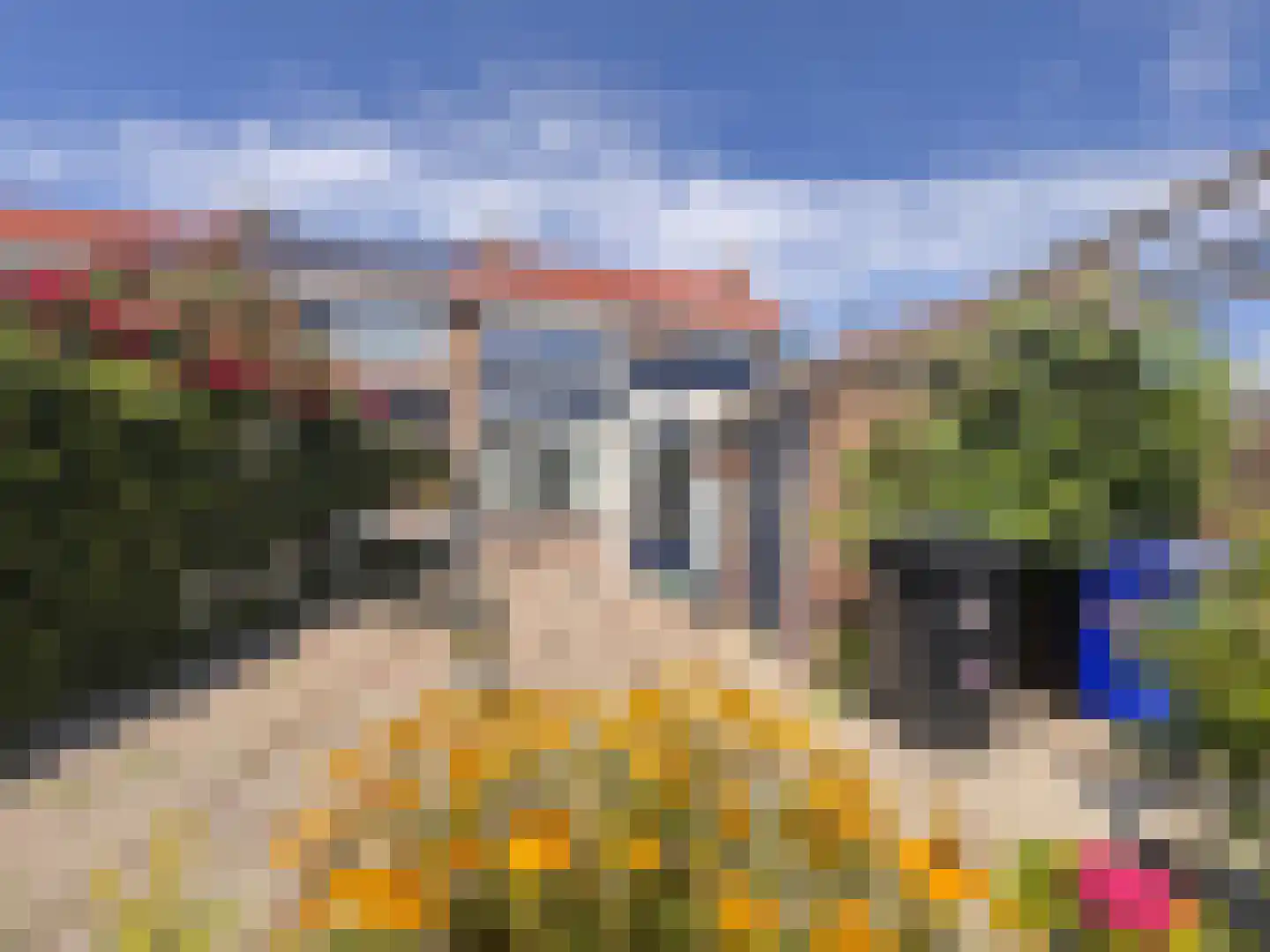 van der Peijlstraat 8 Terneuzen thumbnail 8