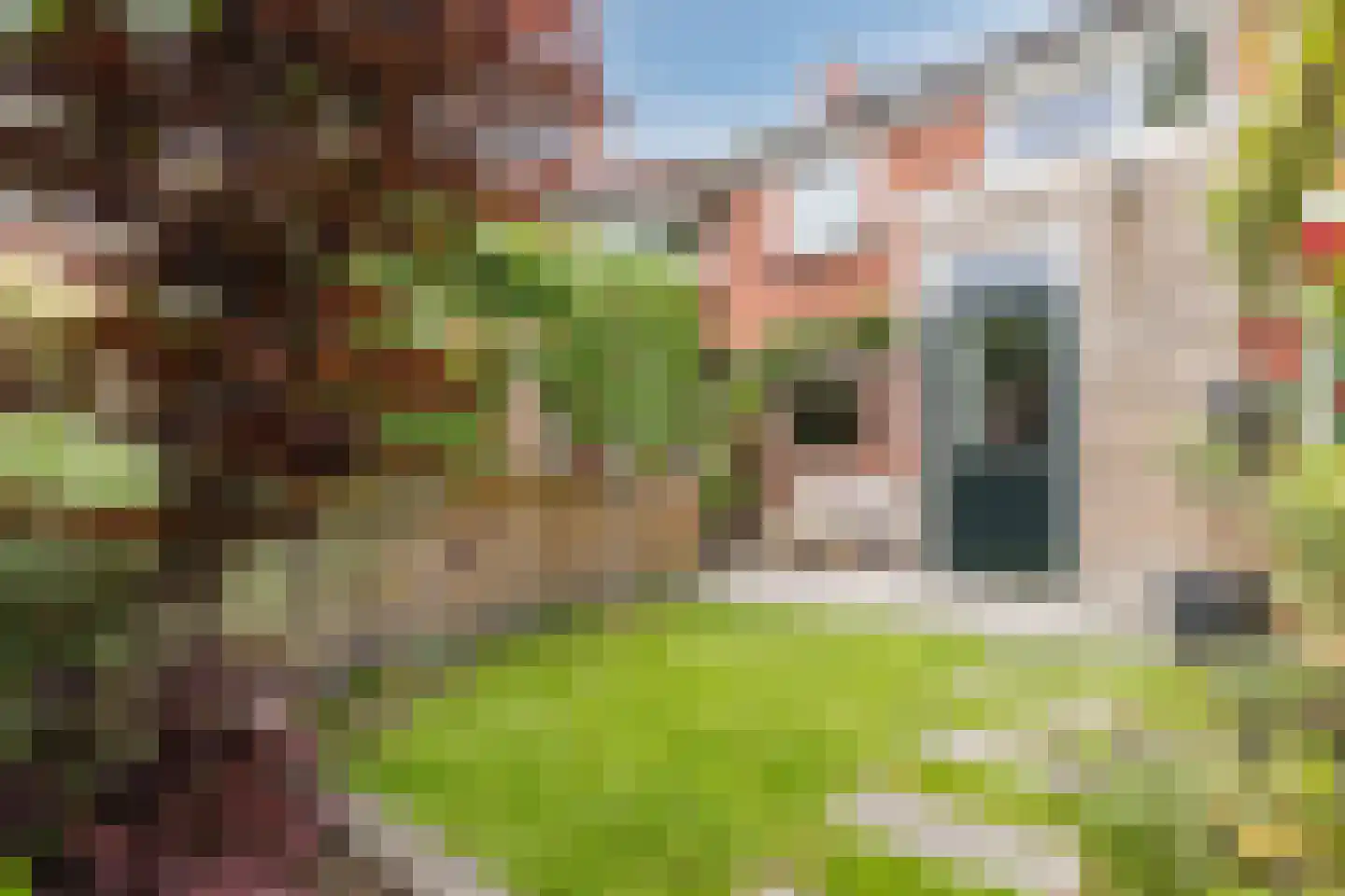 Van der Pekstraat 14 Utrecht thumbnail 24