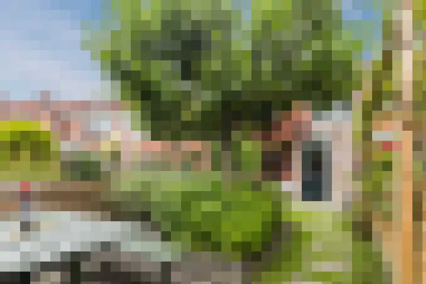 Van der Pekstraat 14 Utrecht thumbnail 26