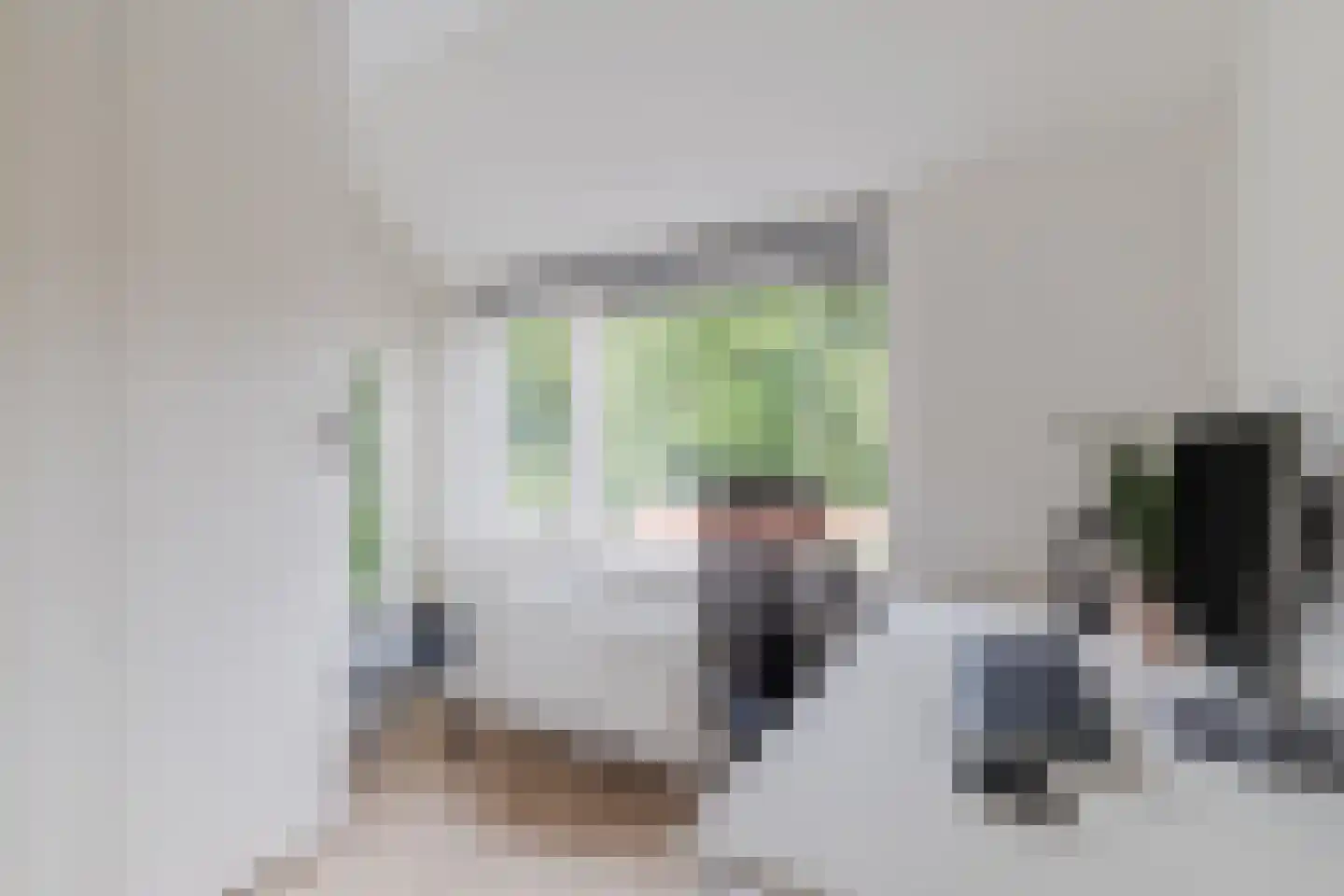Van der Pekstraat 14 Utrecht thumbnail 33