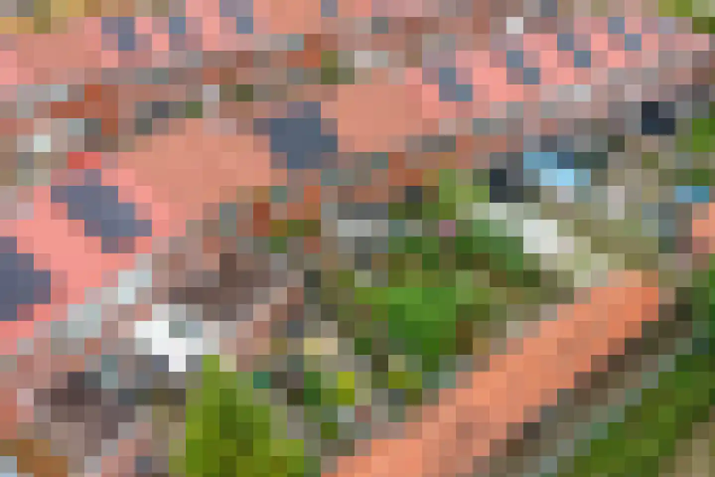 Van der Pekstraat 14 Utrecht thumbnail 42