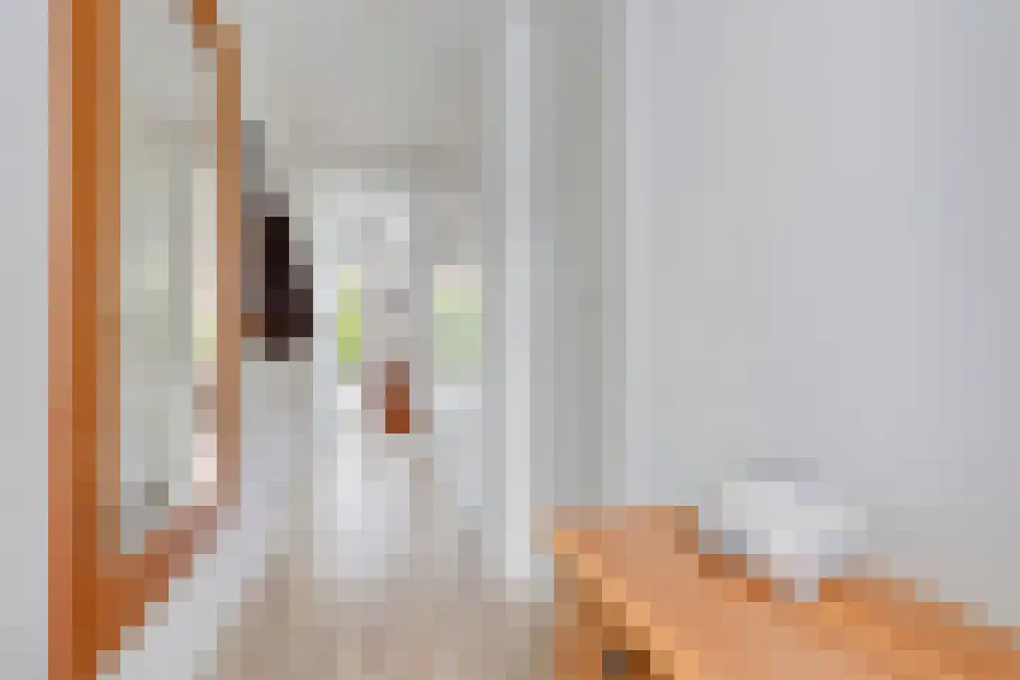Van der Pekstraat 32 A Amsterdam thumbnail 17
