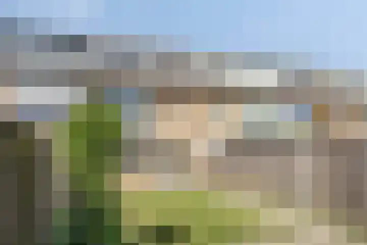 van der Plaatstraat 12 Grave thumbnail 30