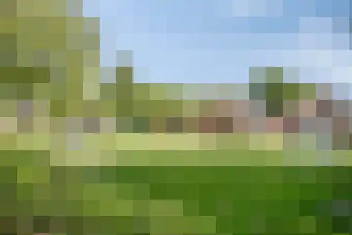 van der Plaatstraat 12 Grave thumbnail 34