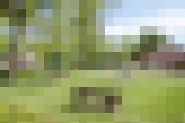 van der Plaatstraat 12 Grave thumbnail 35