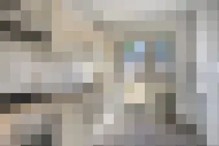 van der Plaatstraat 12 Grave thumbnail 5