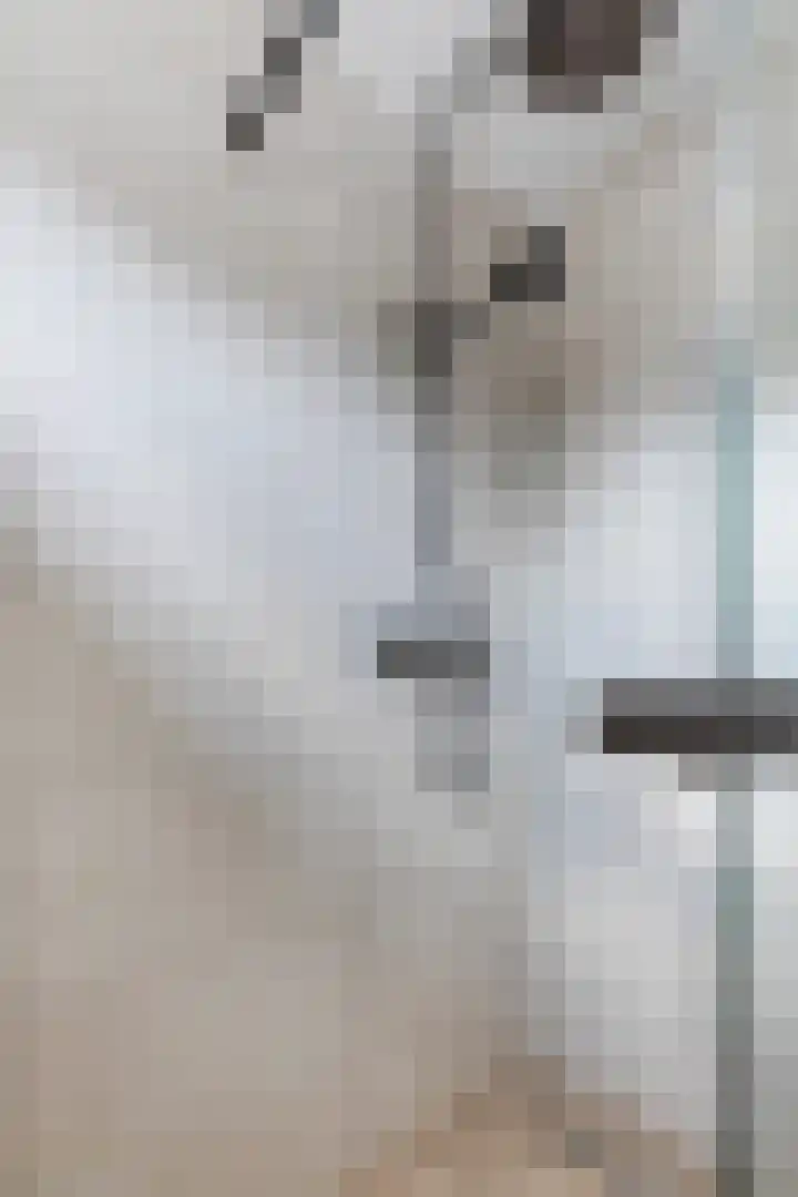 van der Plaatstraat 17 Grave thumbnail 20