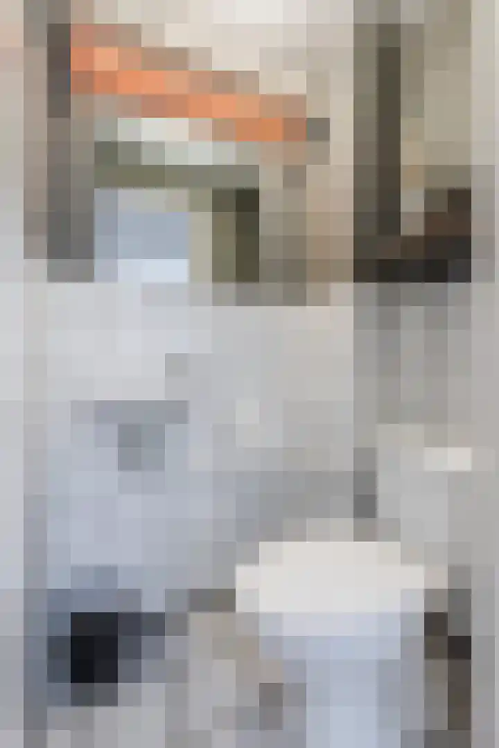 van der Plaatstraat 17 Grave thumbnail 22