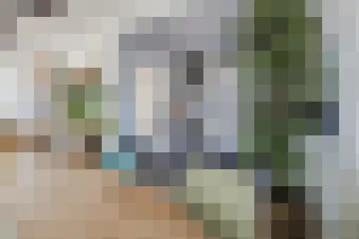 van der Plaatstraat 17 Grave thumbnail 9