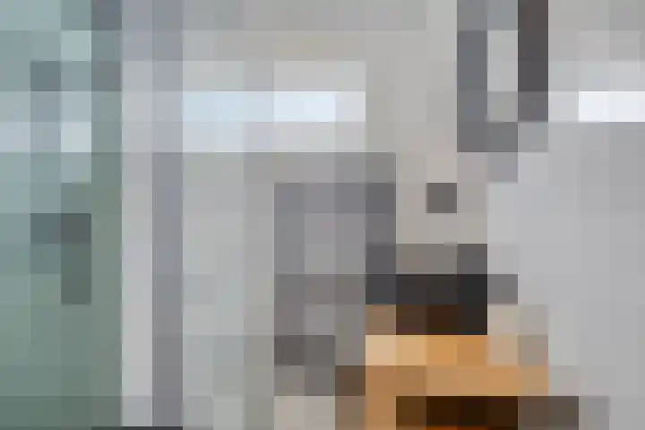 van der Plaatstraat 7 Grave thumbnail 14