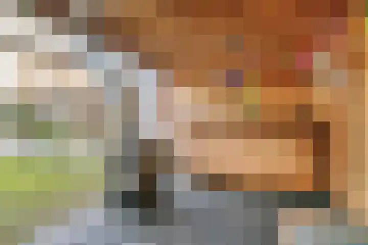 van der Plaatstraat 7 Grave thumbnail 25