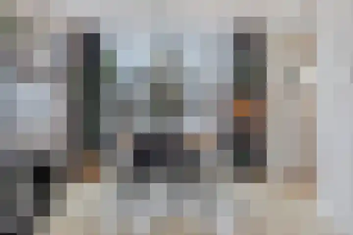van der Plaatstraat 7 Grave thumbnail 6