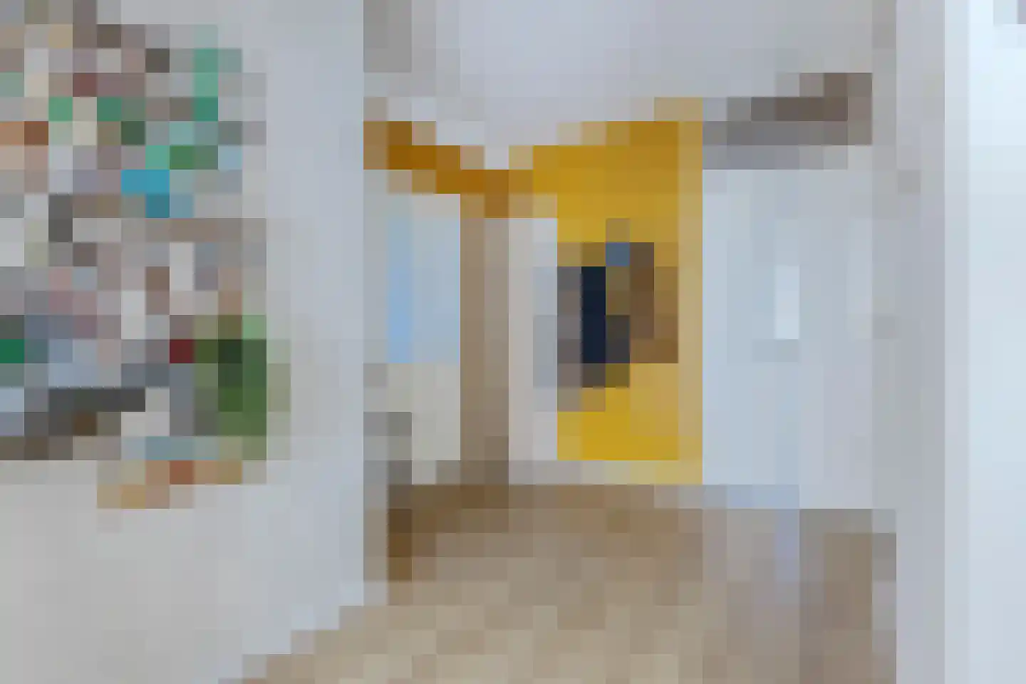 van der Ploegstraat 23 Heemskerk thumbnail 16