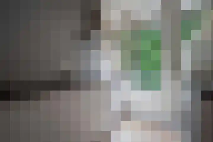 van der Ploegstraat 4 Heemskerk thumbnail 10
