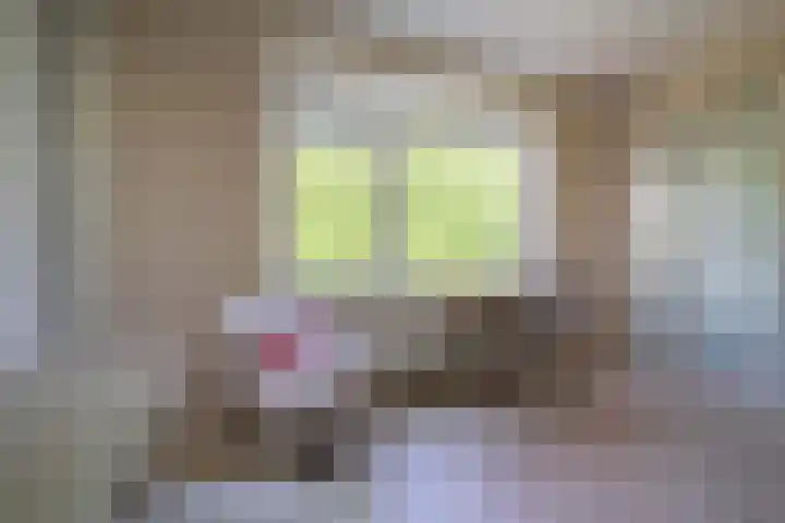 van der Ploegstraat 4 Heemskerk thumbnail 17