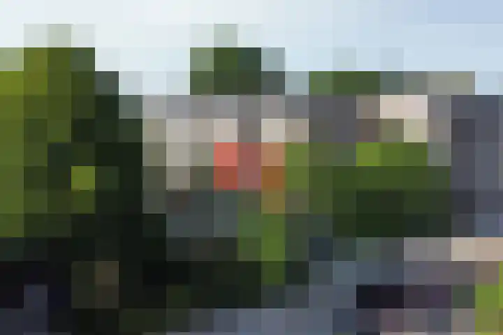 van der Ploegstraat 4 Heemskerk thumbnail 32